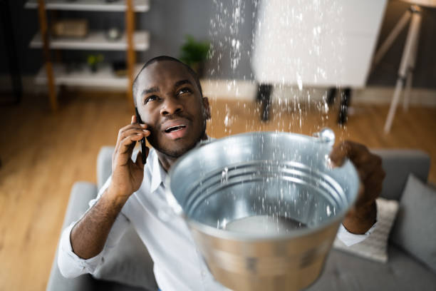 Best Water damage restoration insurance claims  in Mount Pleasant, WI