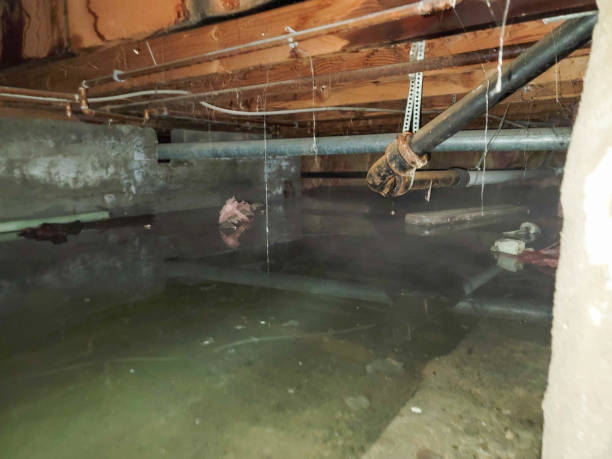 Best Water damage restoration company  in Mount Pleasant, WI