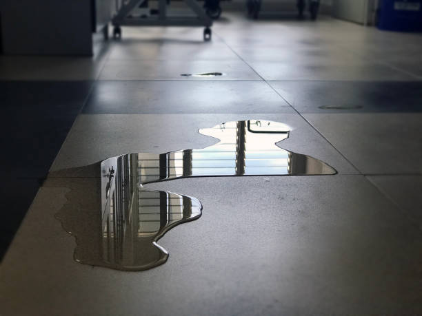 Best Local water damage restoration  in Mount Pleasant, WI