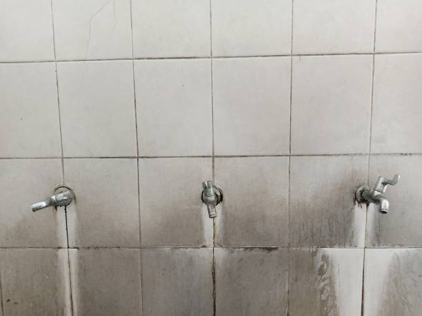 Best Water damage restoration near me  in Mount Pleasant, WI