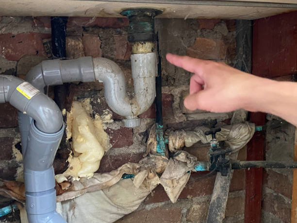 Best Flood damage cleanup  in Mount Pleasant, WI
